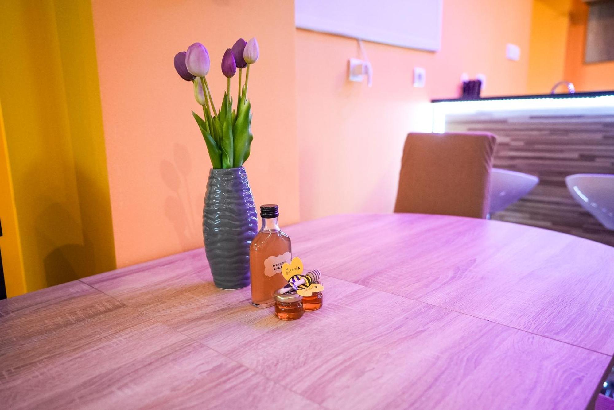 Honey Apartment Lendava Exteriér fotografie